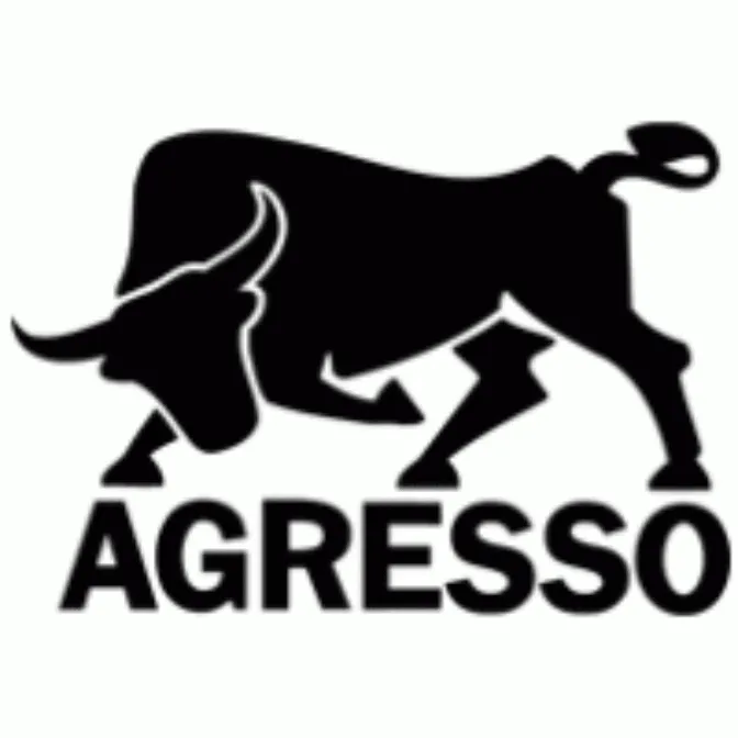 Agresso Logo